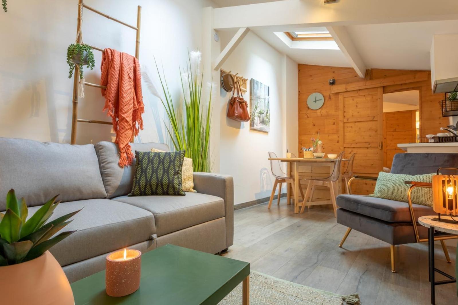 툴루즈 Chartreuse, Clim, Parking, Terrasse Au Calme 아파트 외부 사진